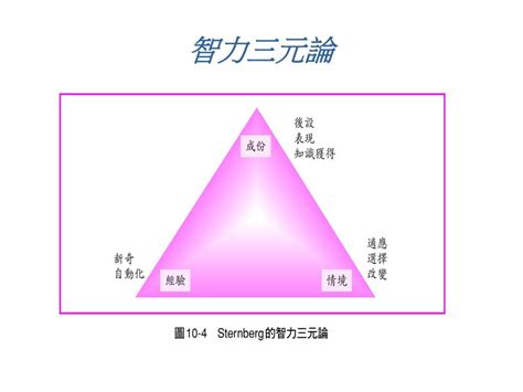 智力三元論口訣|智力三元理論